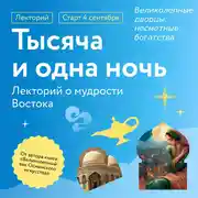 Постер книги Великолепные дворцы, несметные богатства