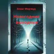 Постер книги Новогодние выходные
