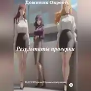 Постер книги Результаты проверки