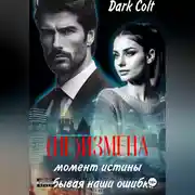 Постер книги (НЕ) ИЗМЕНА Момент истины. Забывая наши ошибки