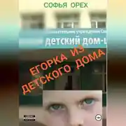 Постер книги Егорка из детского дома