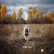 Постер книги Питерская осень