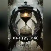 Постер книги Жнец душ: 40 дней