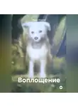 Марио Золотой - Воплощение