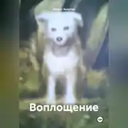 Постер книги Воплощение