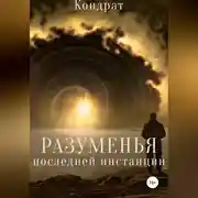 Постер книги Разуменья последней инстанции