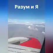 Постер книги Разум и Я