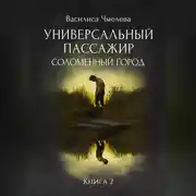 Постер книги Универсальный пассажир. Книга 2. Соломенный город.