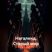 Постер книги Нагаленд. Старый мир