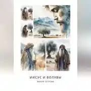 Постер книги Иисус и волхвы