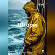 Постер книги Шторм