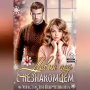Постер книги Новый год с незнакомцем