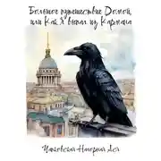 Постер книги Большое путешествие Домой, или Как Я выпал из Кармана