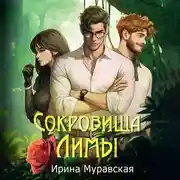 Постер книги Сокровища Лимы