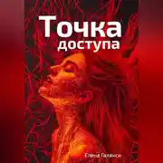Постер книги Точка доступа