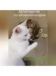 Василий Гельнов - Белая магия. 200 заговоров колдуна