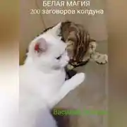 Постер книги Белая магия. 200 заговоров колдуна