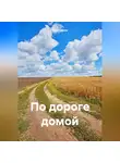 Нил Плёсов - По дороге домой