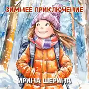 Постер книги Зимнее приключение