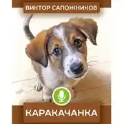 Постер книги Каракачанка