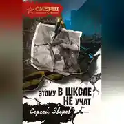 Постер книги Этому в школе не учат