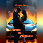 Постер книги Погоня за счастьем