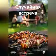 Постер книги Случайная встреча