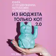 Постер книги Из бюджета только кот 2.0