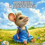Постер книги Камешек с дырочкой