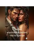 Валерий Тюменцев - У любви короткие крылья. Часть третья.