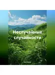Нил Плёсов - Неслучайные случайности