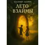 Постер книги Лето взаймы