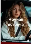 Виктор Норин - Ночная встреча