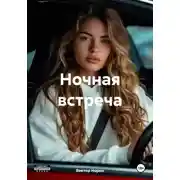 Постер книги Ночная встреча