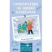 Постер книги Приключения на зимних каникулах