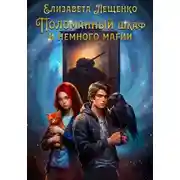 Постер книги Поломанный шкаф и немного магии