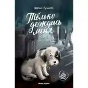 Постер книги Только дождись меня