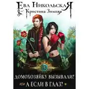 Постер книги Домохозяйку вызывали?, или А если в глаз?