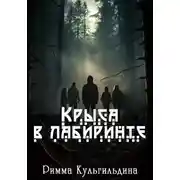 Постер книги Крыса в лабиринте