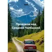 Постер книги Проезжая над Средней Челбаской