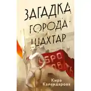 Постер книги Загадка города Шахтар