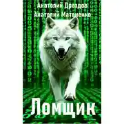 Постер книги Ломщик