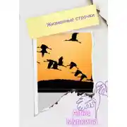 Постер книги Жизненные строчки