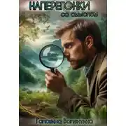 Постер книги Наперегонки со смыслом