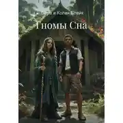 Постер книги Гномы Сна