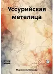 Александр Миронов - Уссурийская метелица