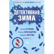 Постер книги Детективная зима