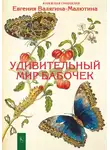 Евгения Валягина-Малютина - Удивительный мир бабочек
