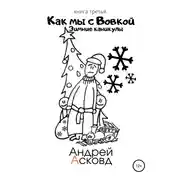 Постер книги Как мы с Вовкой. Зимние каникулы. Книга третья