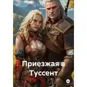 Постер книги Приезжая в Туссент